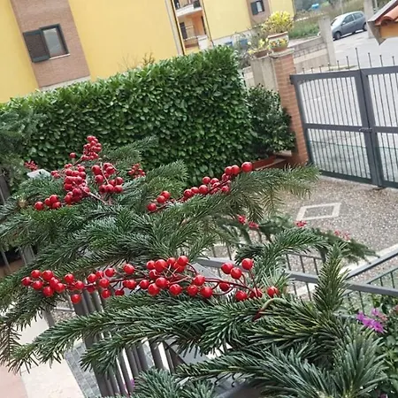 Bed & Breakfast Rossella