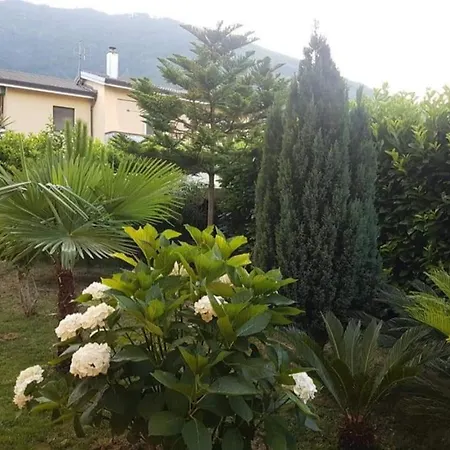 Rossella *